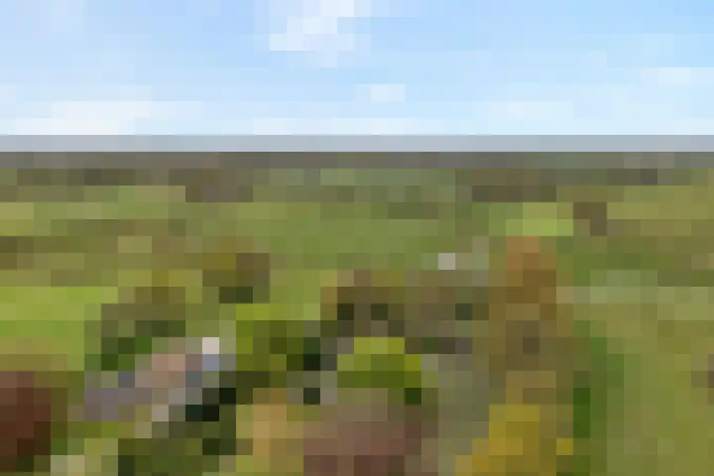 Stapelerweg 8 de Wijk thumbnail 76