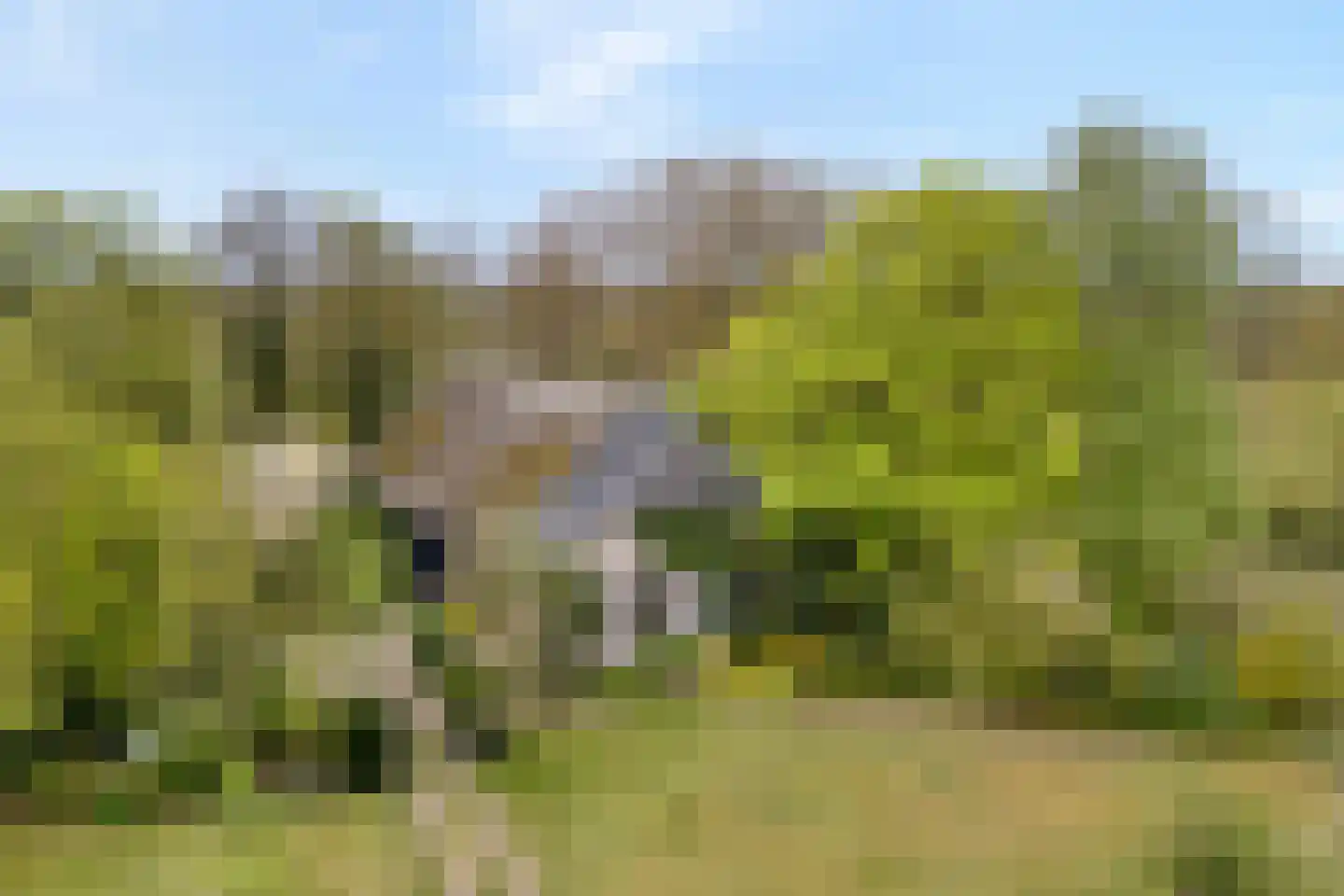 Stapelerweg 8 de Wijk thumbnail 8