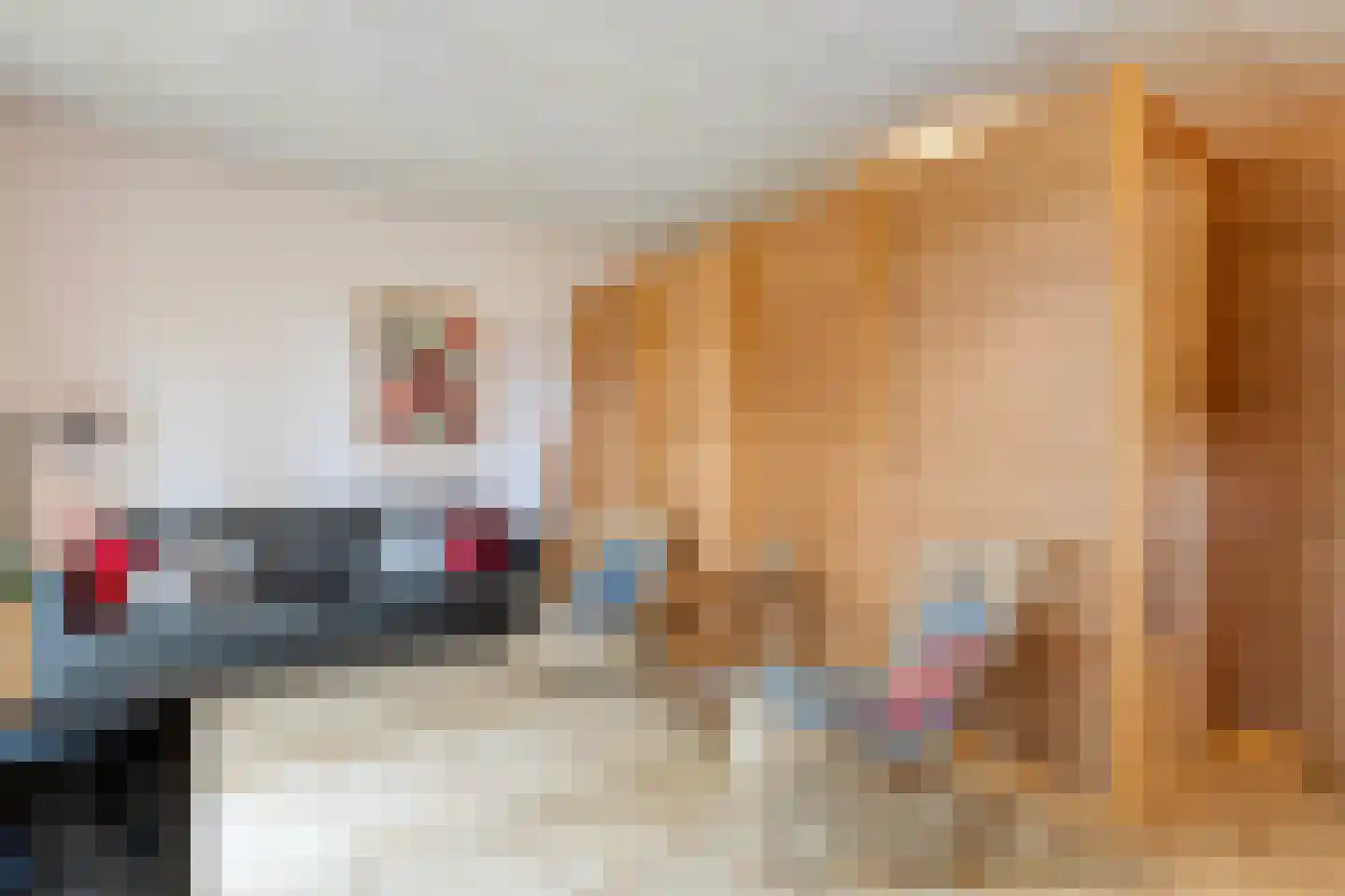 Stapelerweg 8 de Wijk thumbnail 84