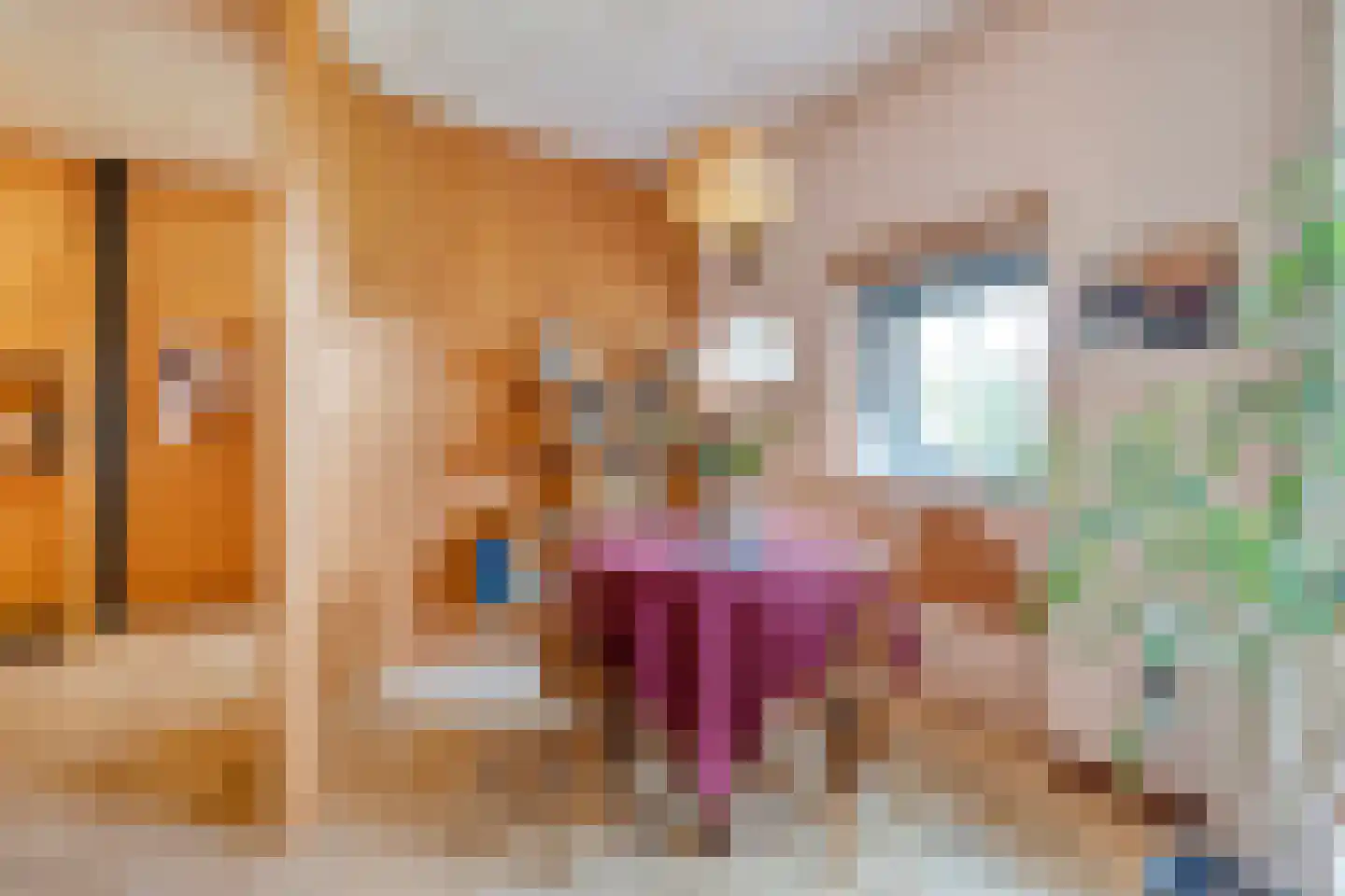 Stapelerweg 8 de Wijk thumbnail 85