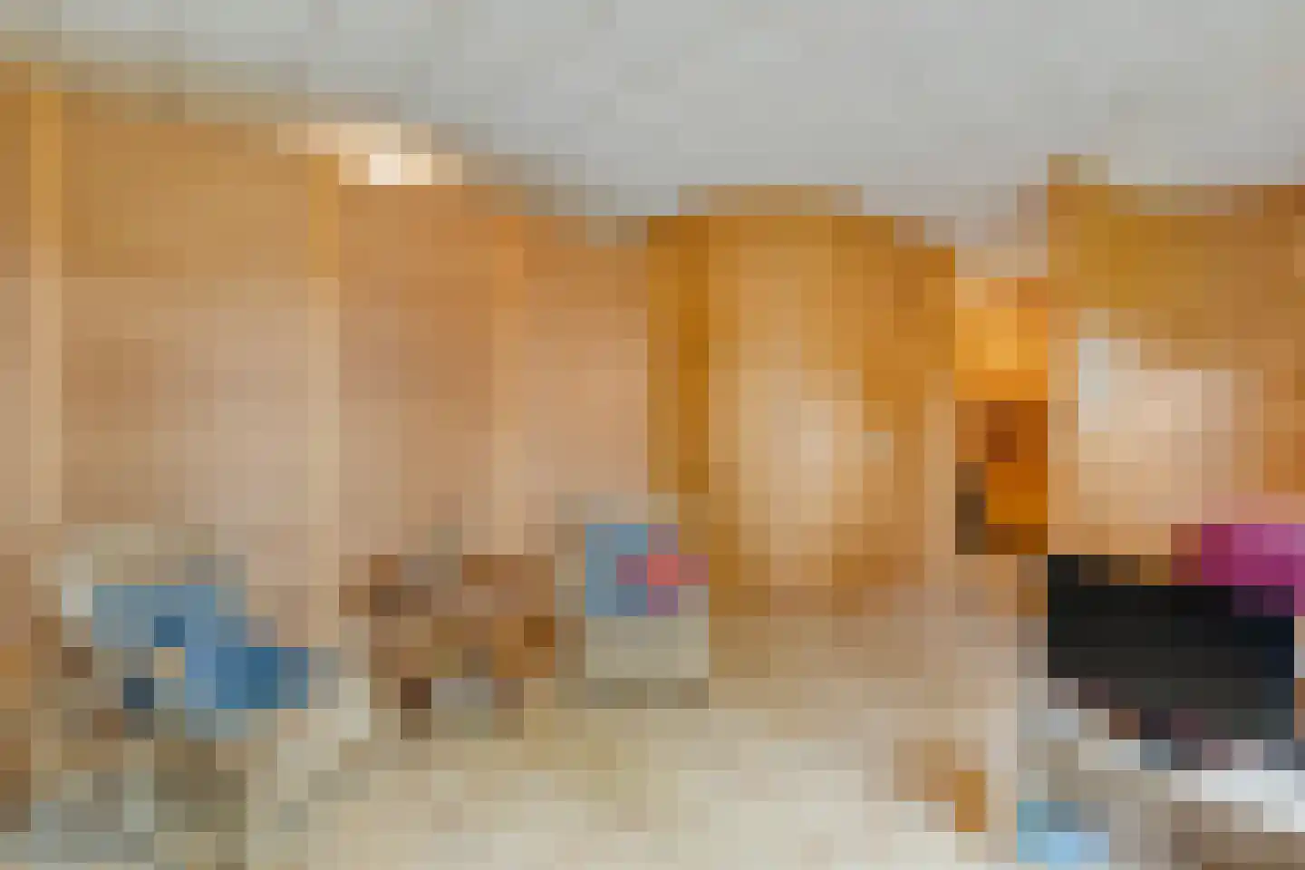 Stapelerweg 8 de Wijk thumbnail 86