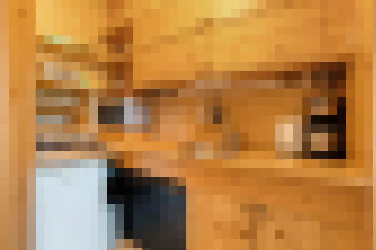 Stapelerweg 8 de Wijk thumbnail 88