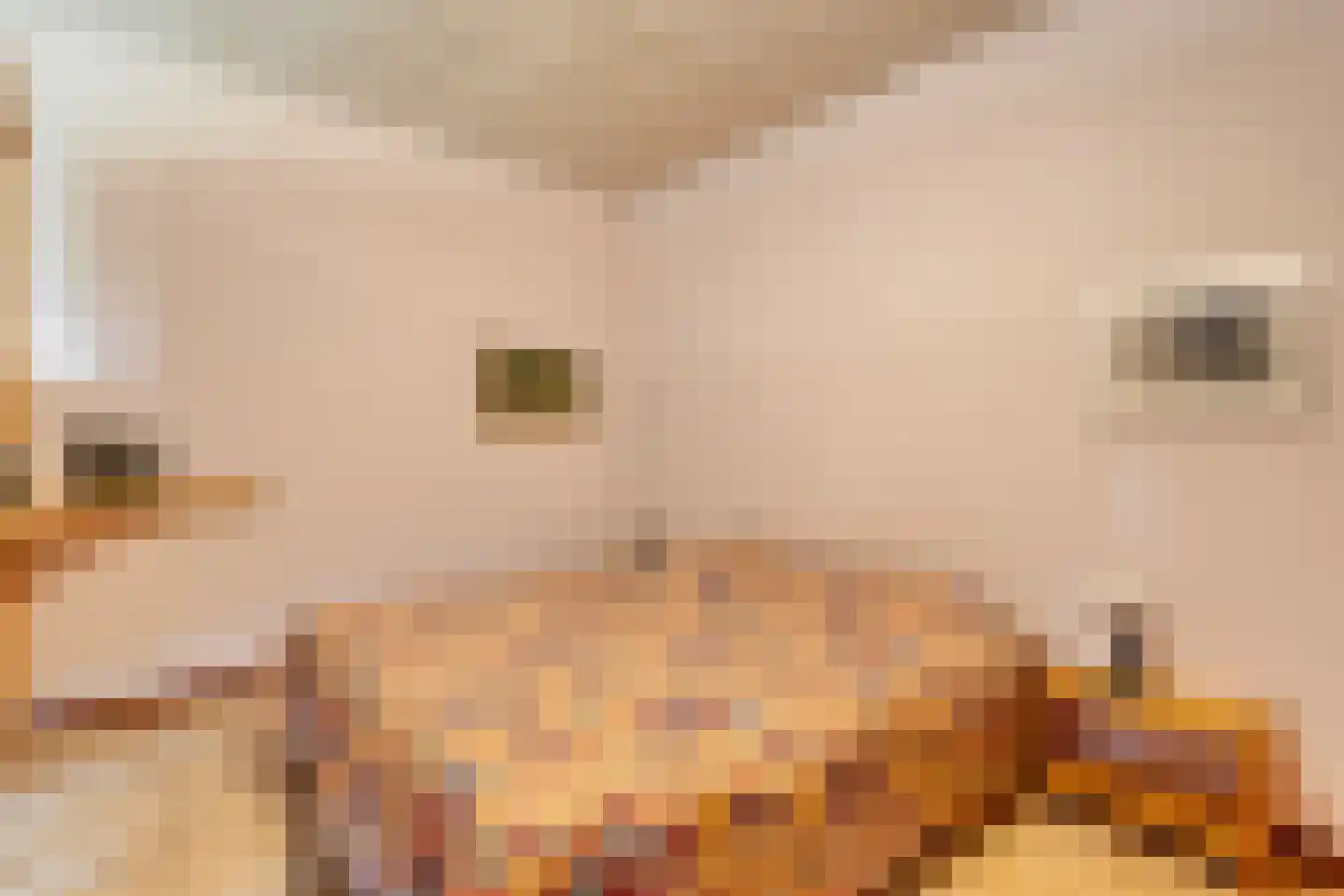 Stapelerweg 8 de Wijk thumbnail 89