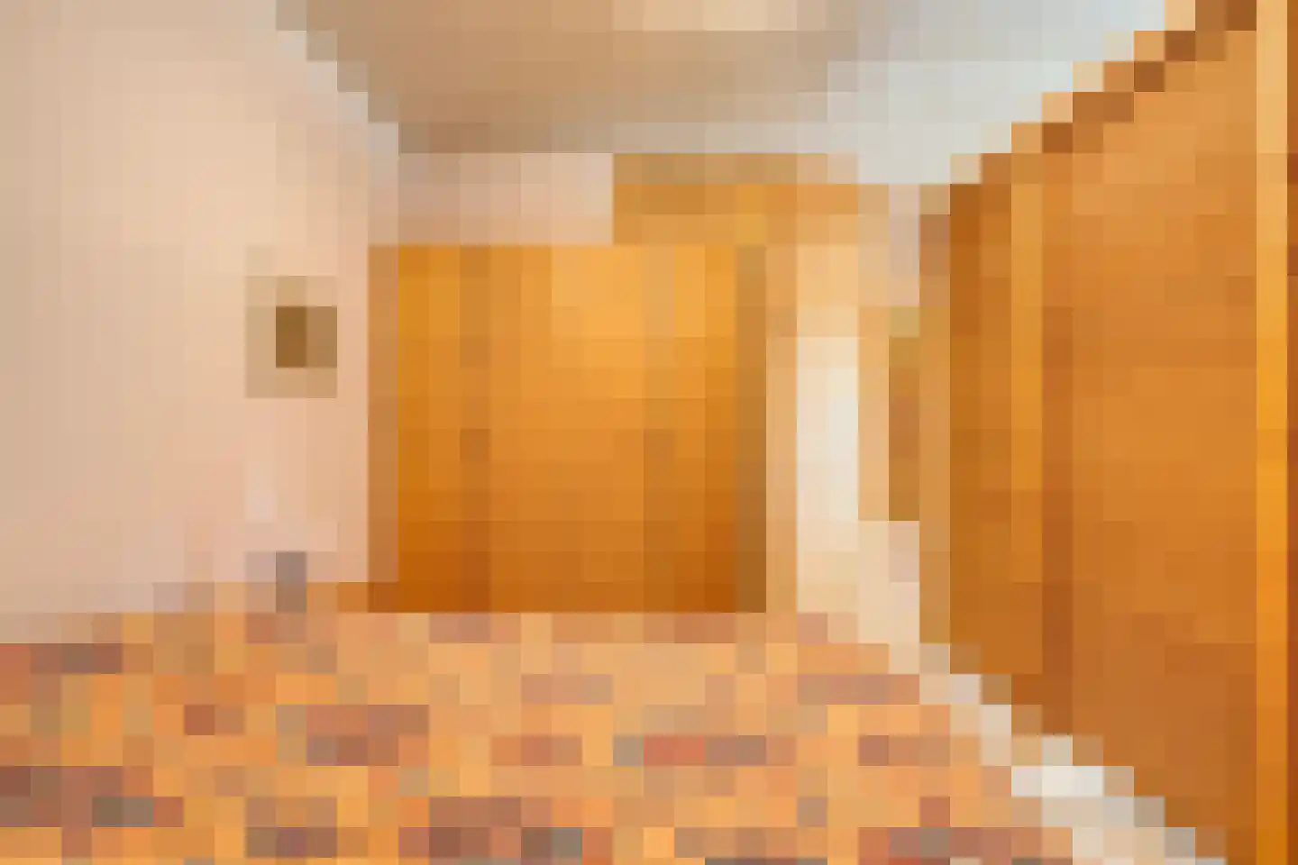 Stapelerweg 8 de Wijk thumbnail 90