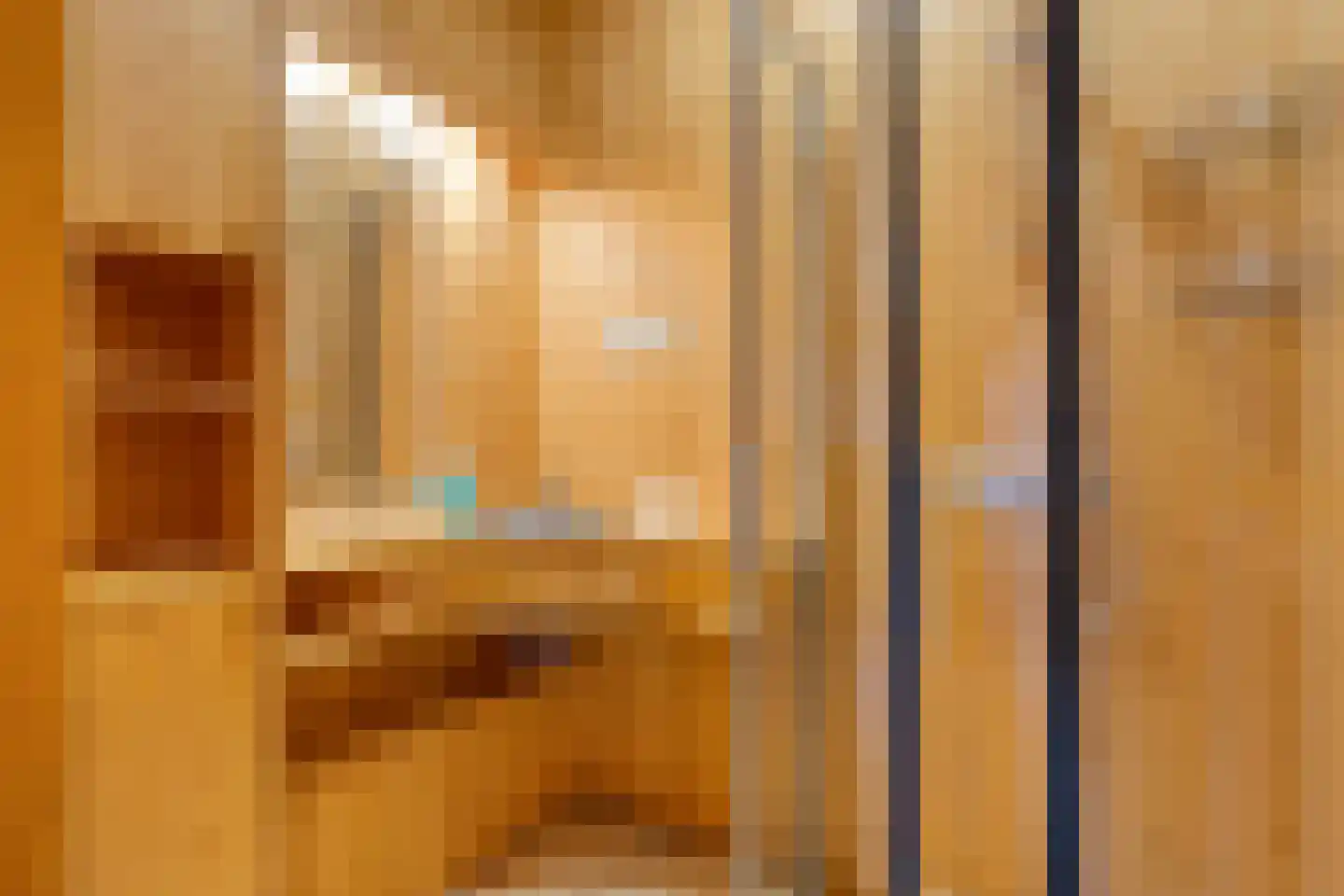 Stapelerweg 8 de Wijk thumbnail 91