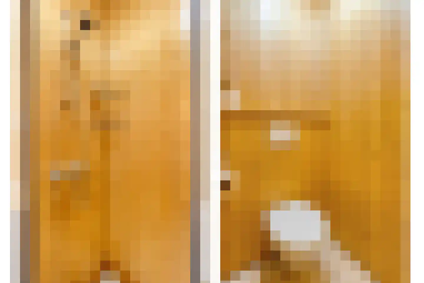 Stapelerweg 8 de Wijk thumbnail 92