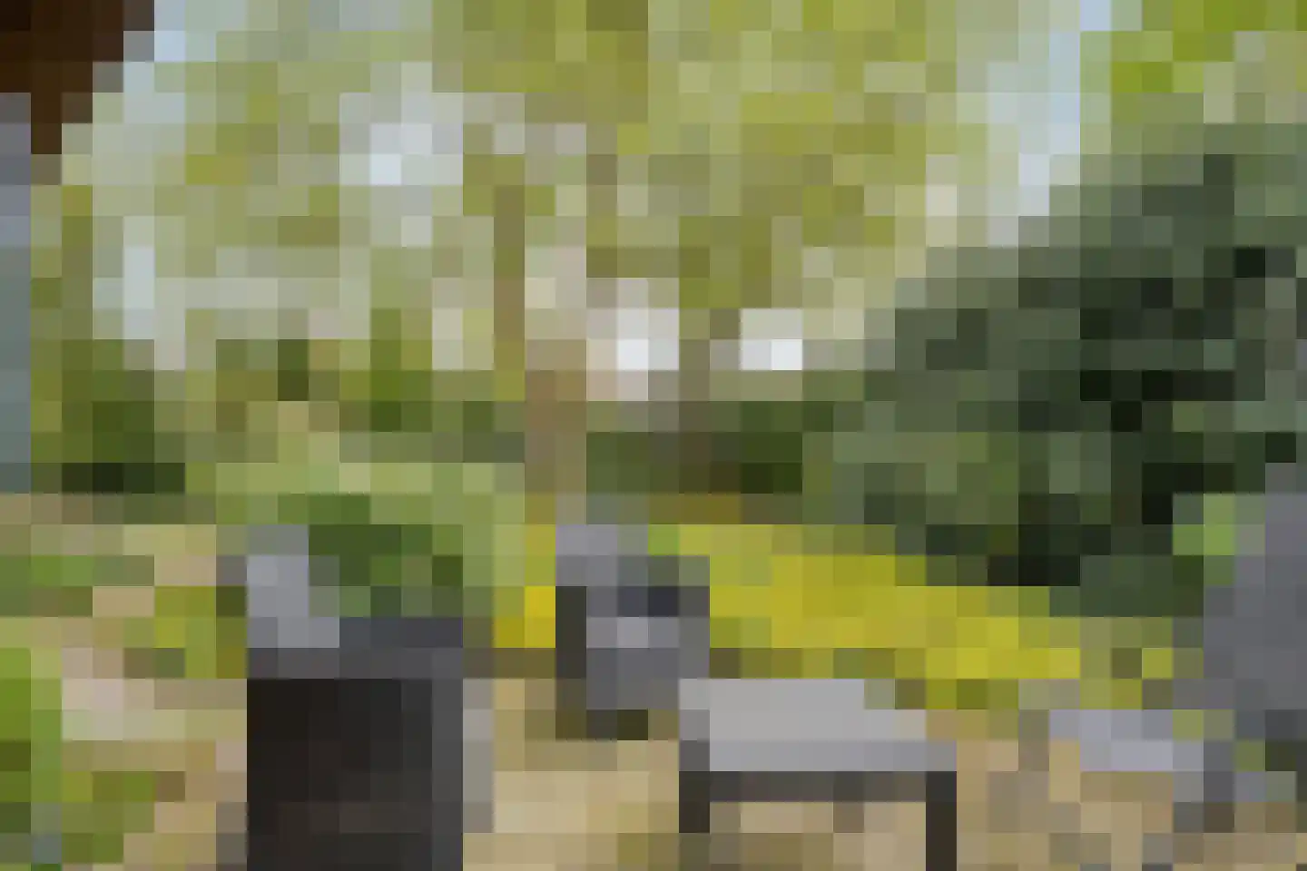 Stapelerweg 8 de Wijk thumbnail 93