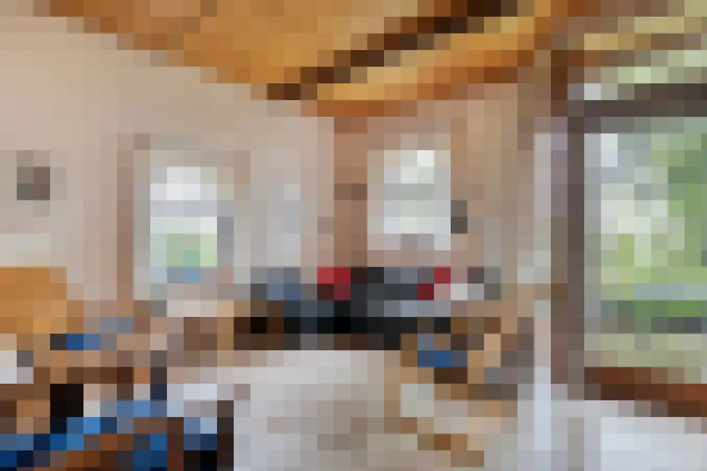 Stapelerweg 8 de Wijk thumbnail 97