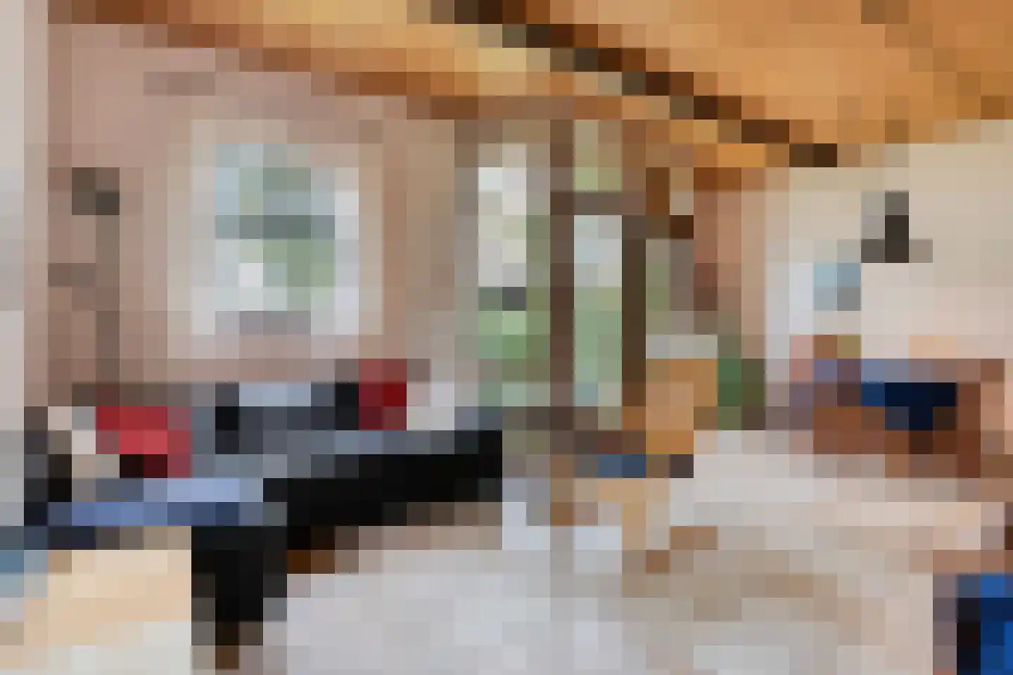Stapelerweg 8 de Wijk thumbnail 98