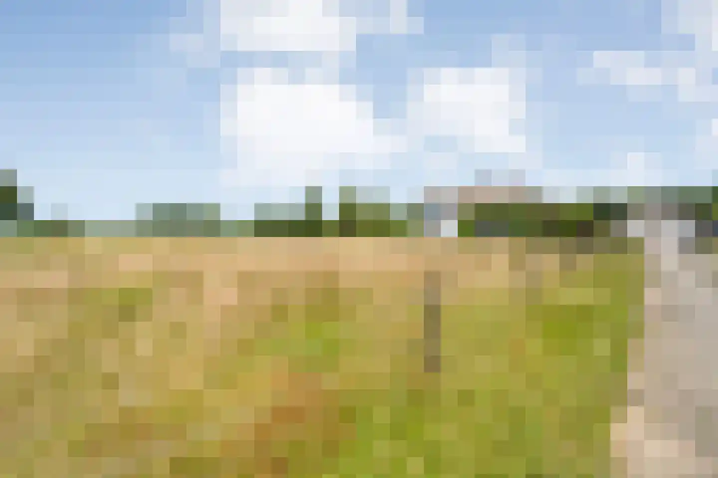Stapelhaarspad 2 Wesepe thumbnail 10