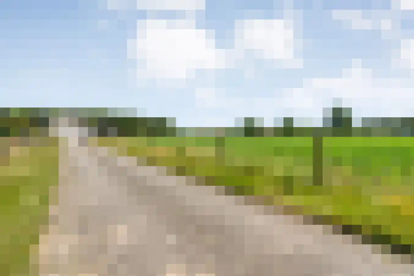 Stapelhaarspad 2 Wesepe thumbnail 11