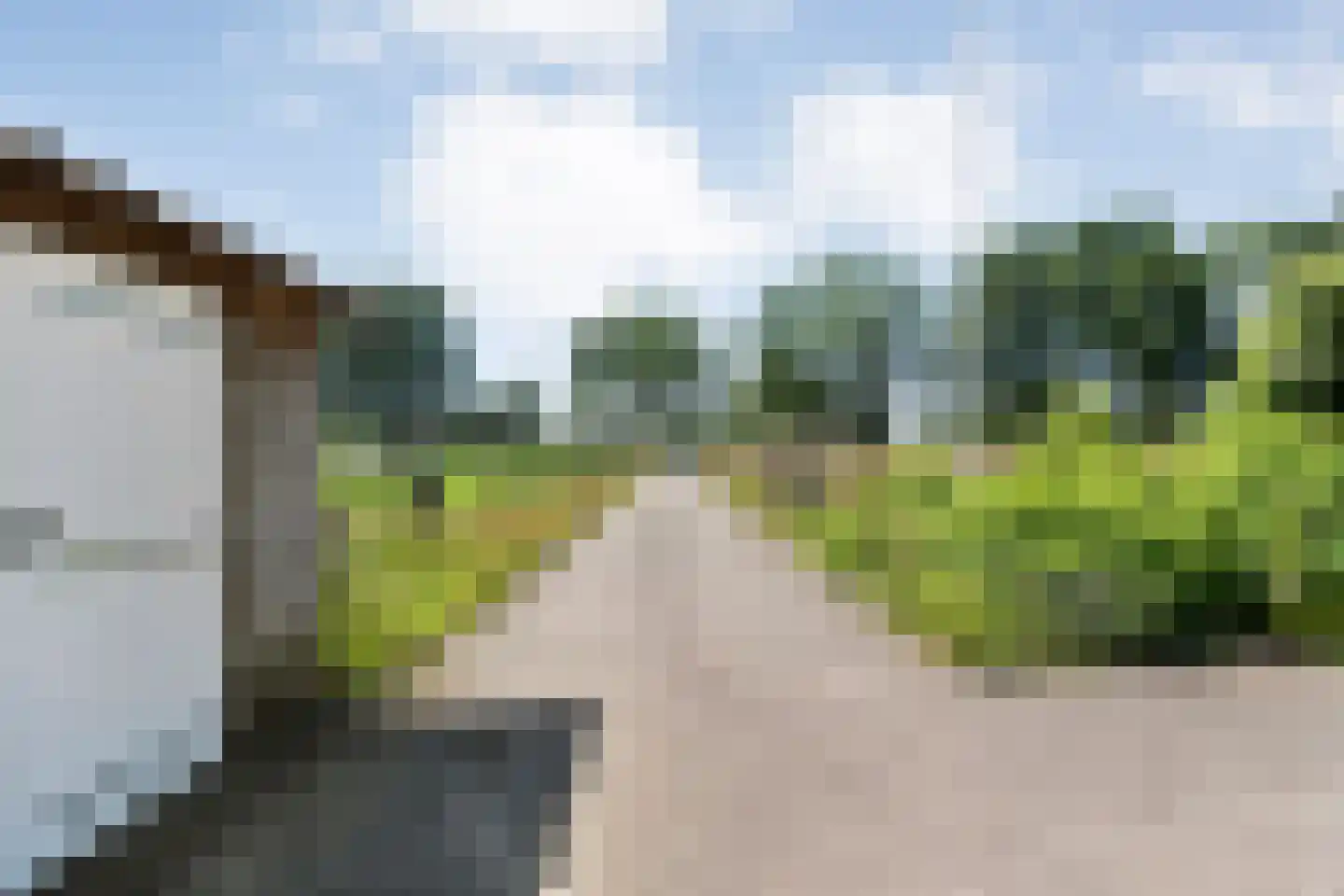 Stapelhaarspad 2 Wesepe thumbnail 16