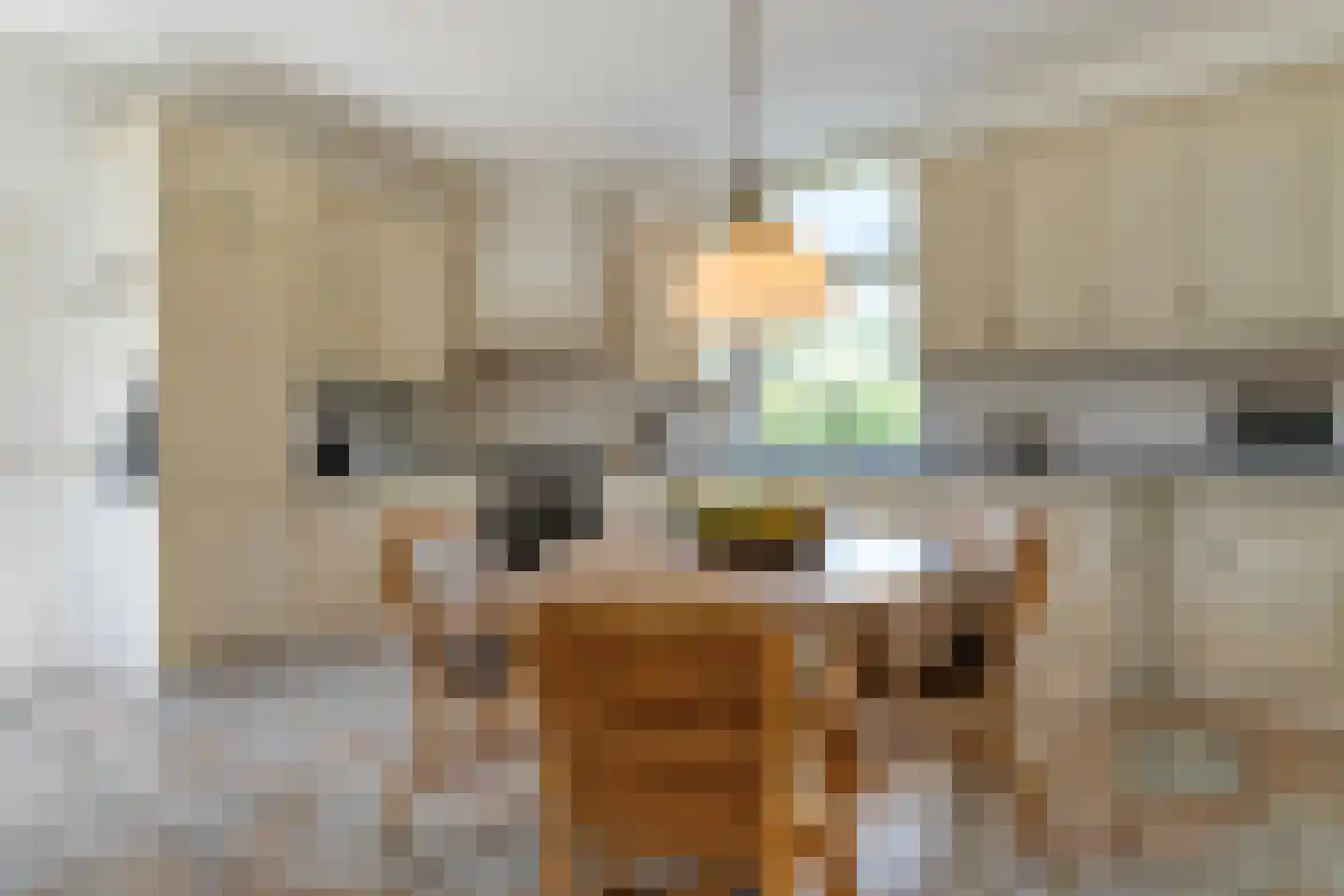 Stapelhaarspad 2 Wesepe thumbnail 21