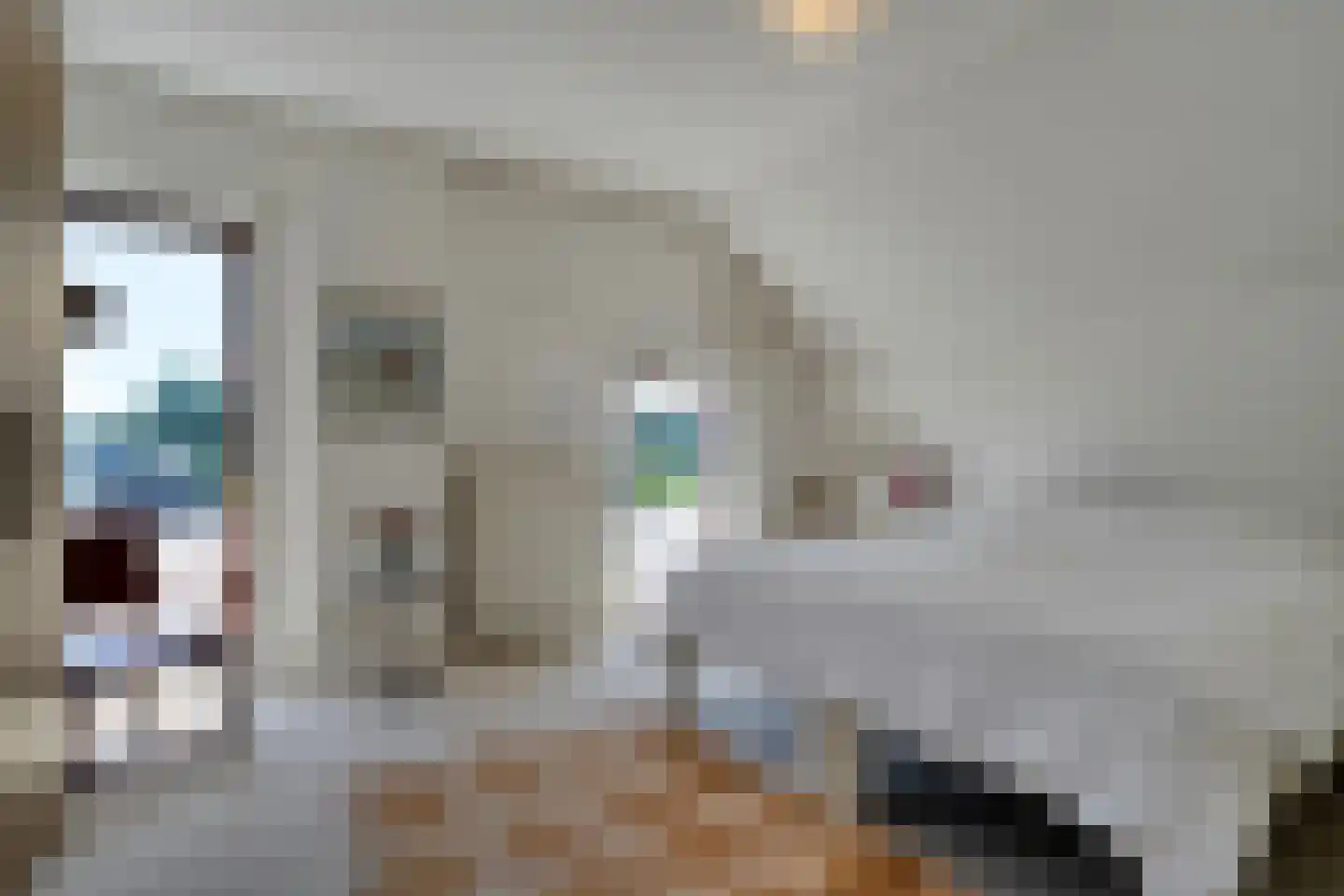 Stapelhaarspad 2 Wesepe thumbnail 29