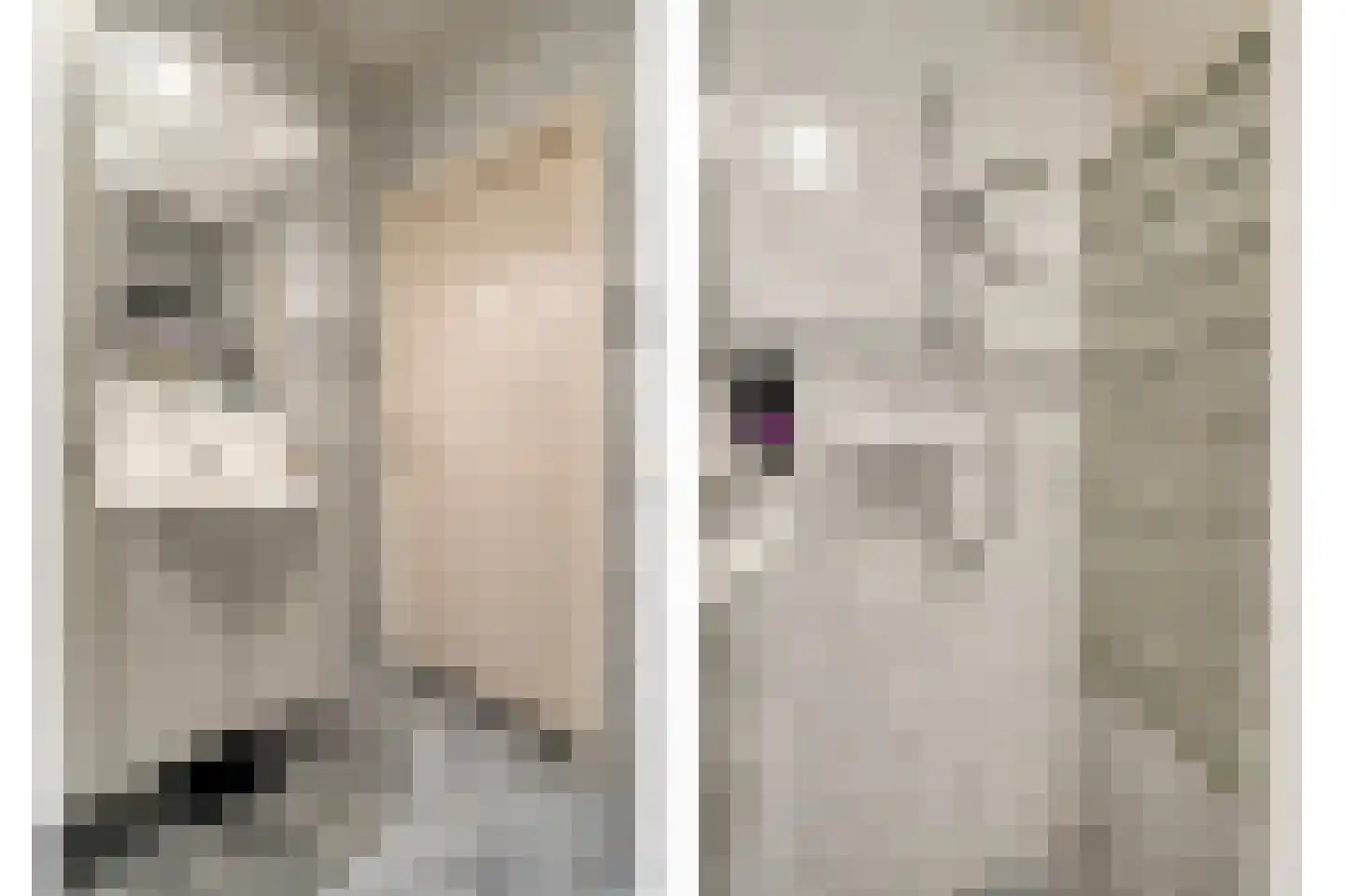 Stapelhaarspad 2 Wesepe thumbnail 34