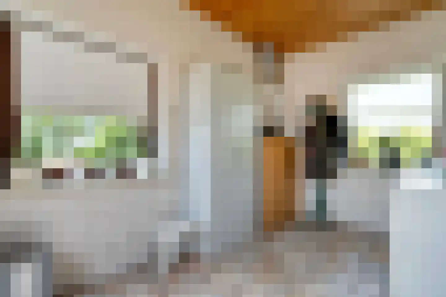Stapelhaarspad 2 Wesepe thumbnail 35