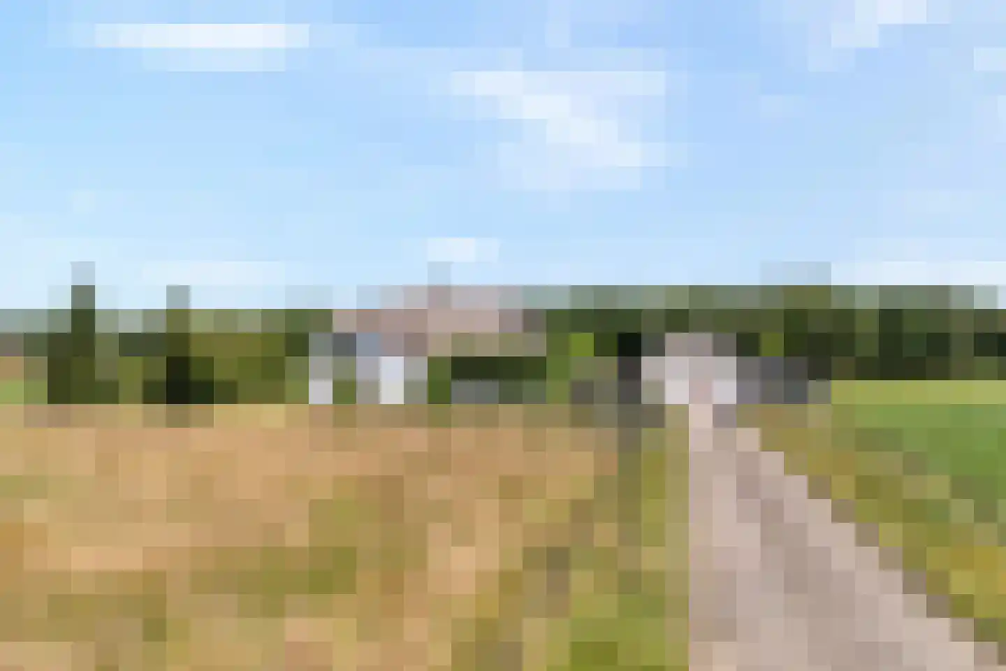 Stapelhaarspad 2 Wesepe thumbnail 4