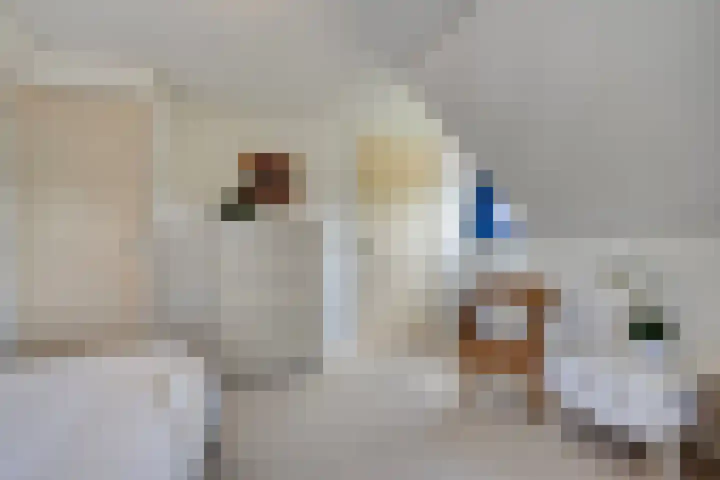 Stapelhaarspad 2 Wesepe thumbnail 44