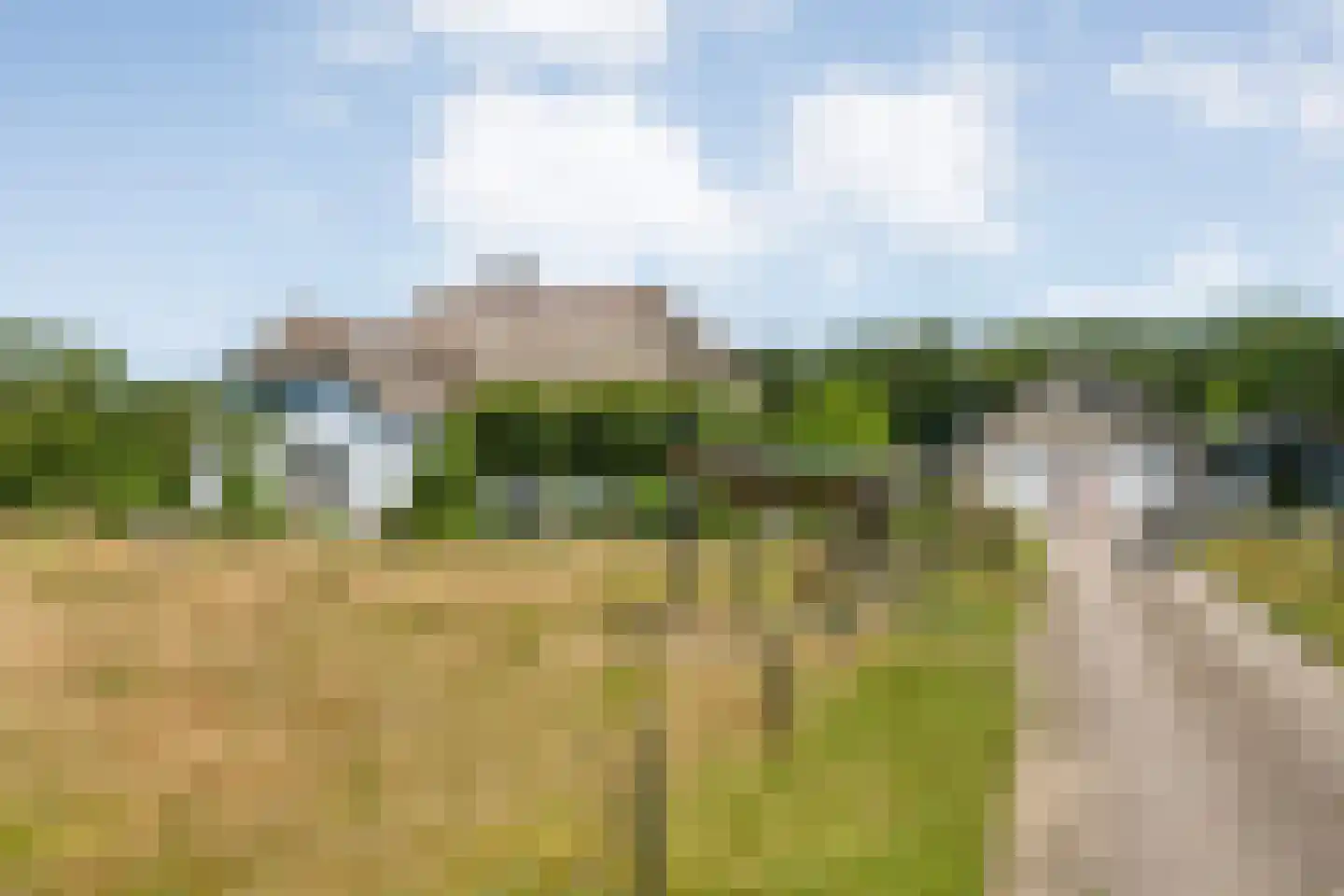 Stapelhaarspad 2 Wesepe thumbnail 5