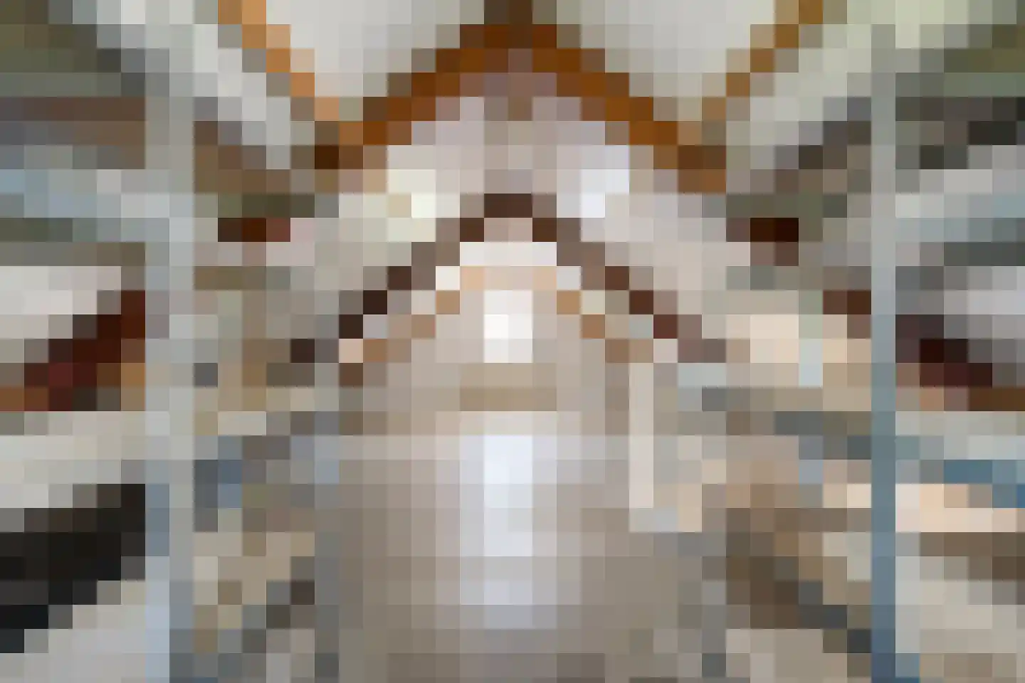 Stapelhaarspad 2 Wesepe thumbnail 50