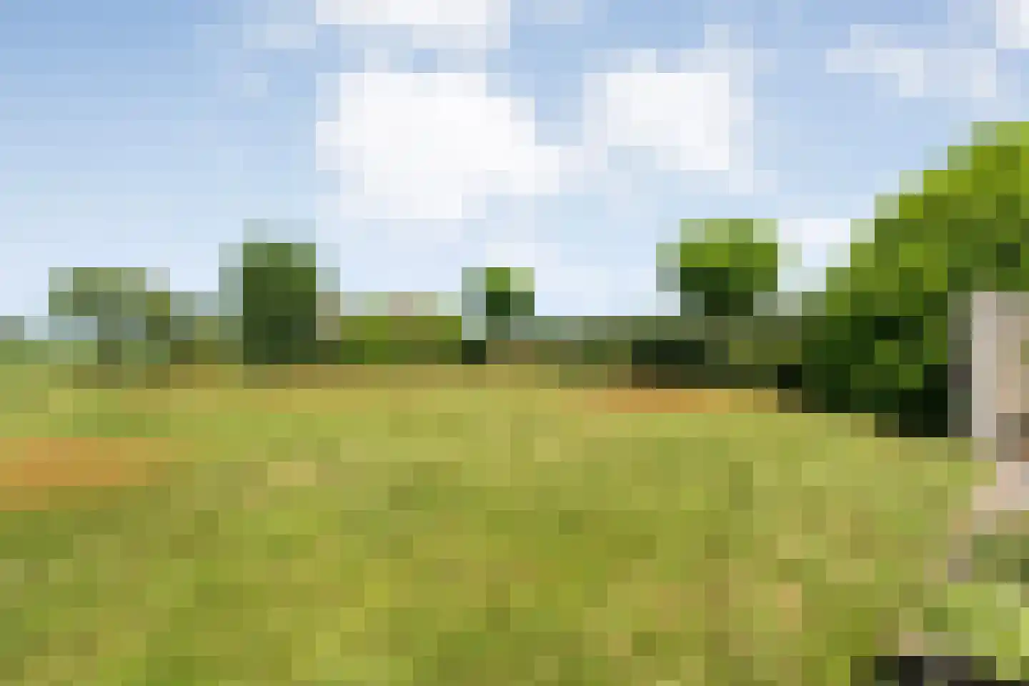 Stapelhaarspad 2 Wesepe thumbnail 57