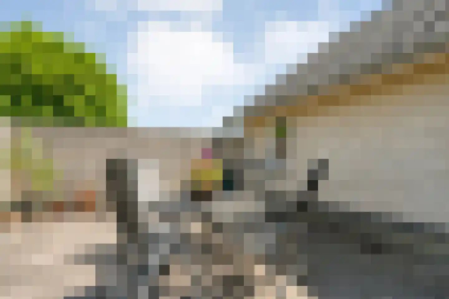 Stapelhaarspad 2 Wesepe thumbnail 58