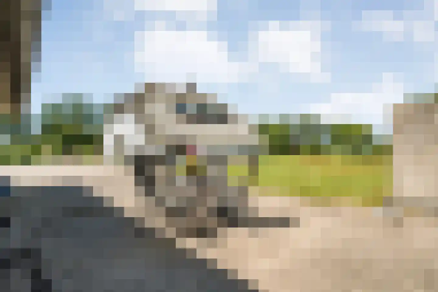 Stapelhaarspad 2 Wesepe thumbnail 60