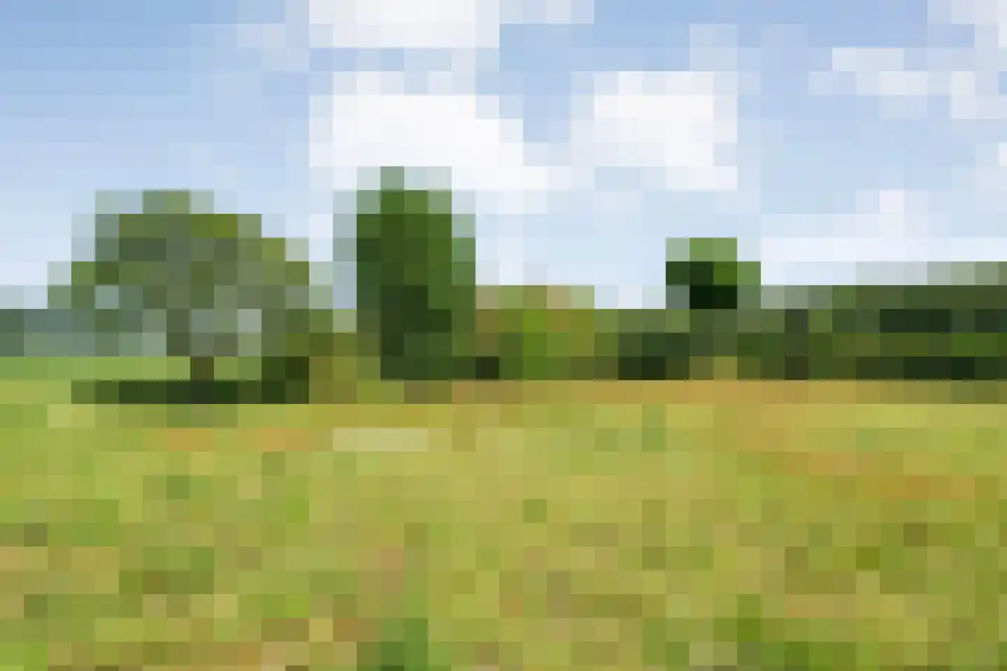 Stapelhaarspad 2 Wesepe thumbnail 63