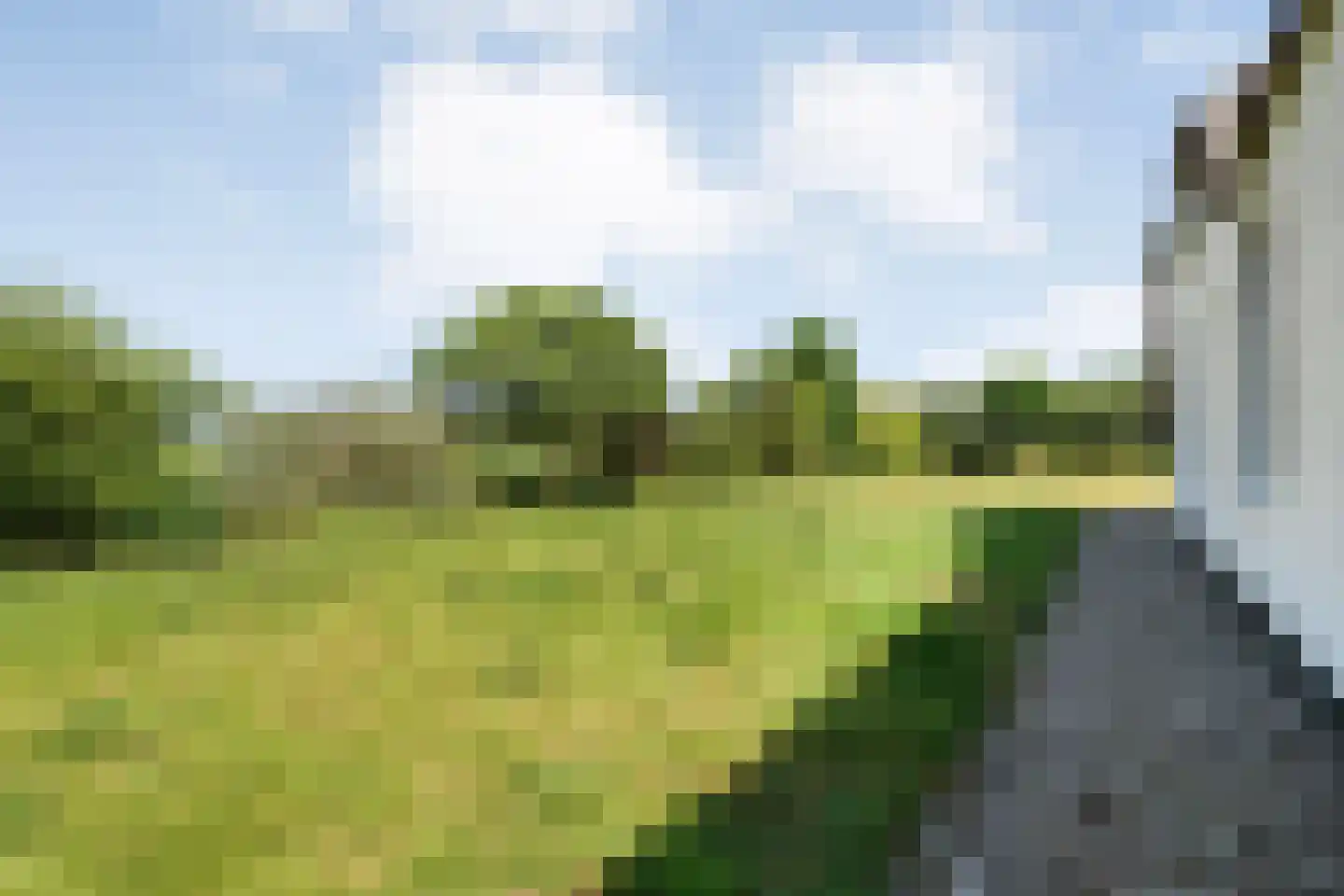 Stapelhaarspad 2 Wesepe thumbnail 66