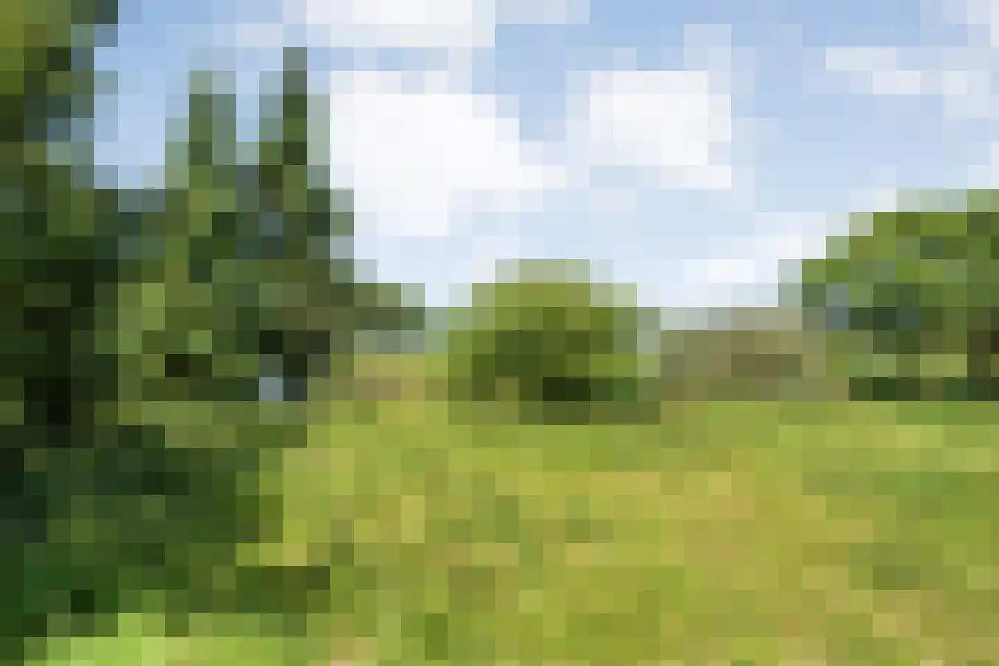 Stapelhaarspad 2 Wesepe thumbnail 67