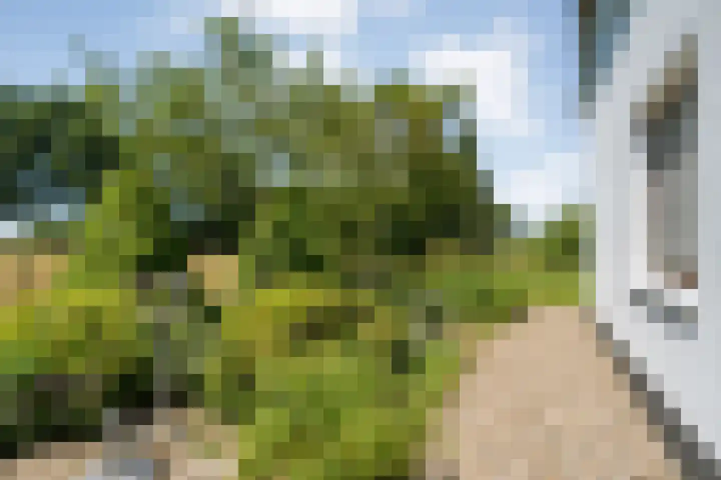 Stapelhaarspad 2 Wesepe thumbnail 68