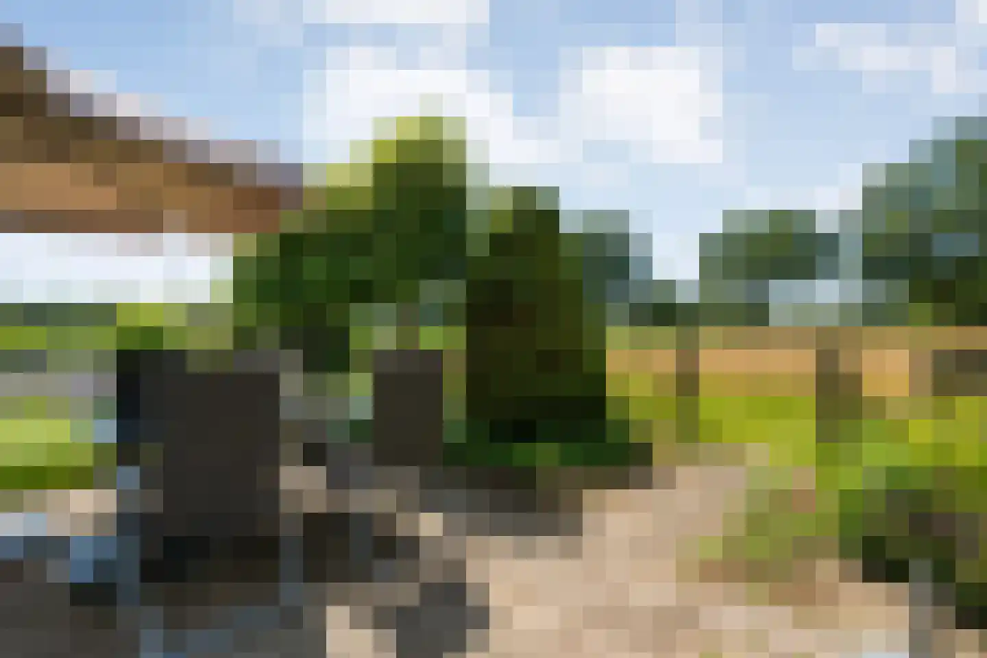 Stapelhaarspad 2 Wesepe thumbnail 69