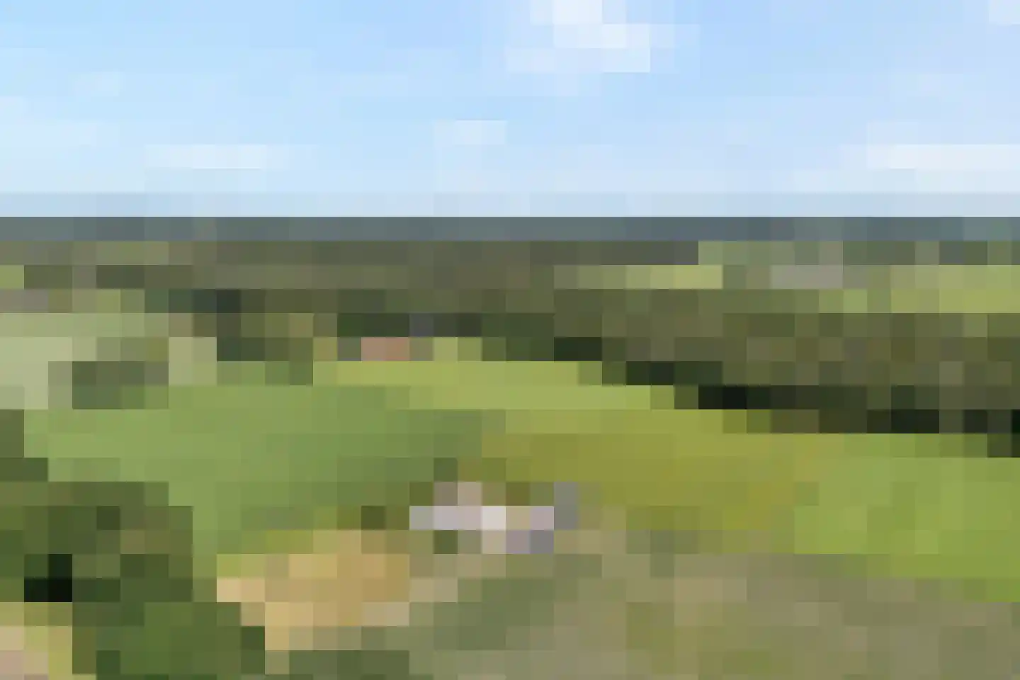 Stapelhaarspad 2 Wesepe thumbnail 7