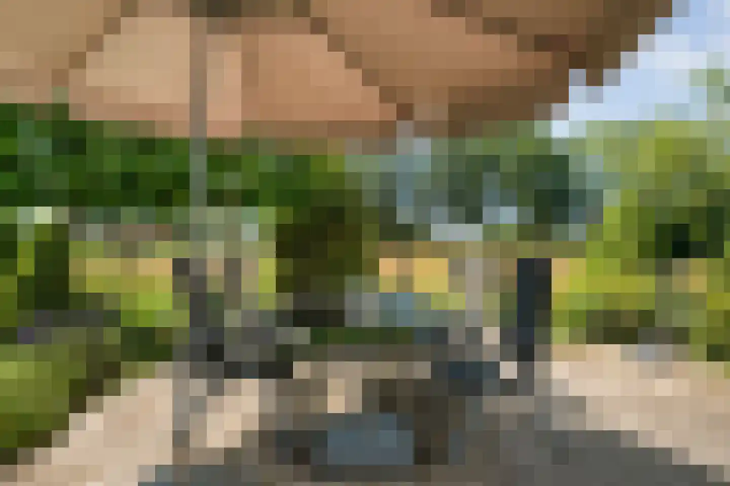 Stapelhaarspad 2 Wesepe thumbnail 70