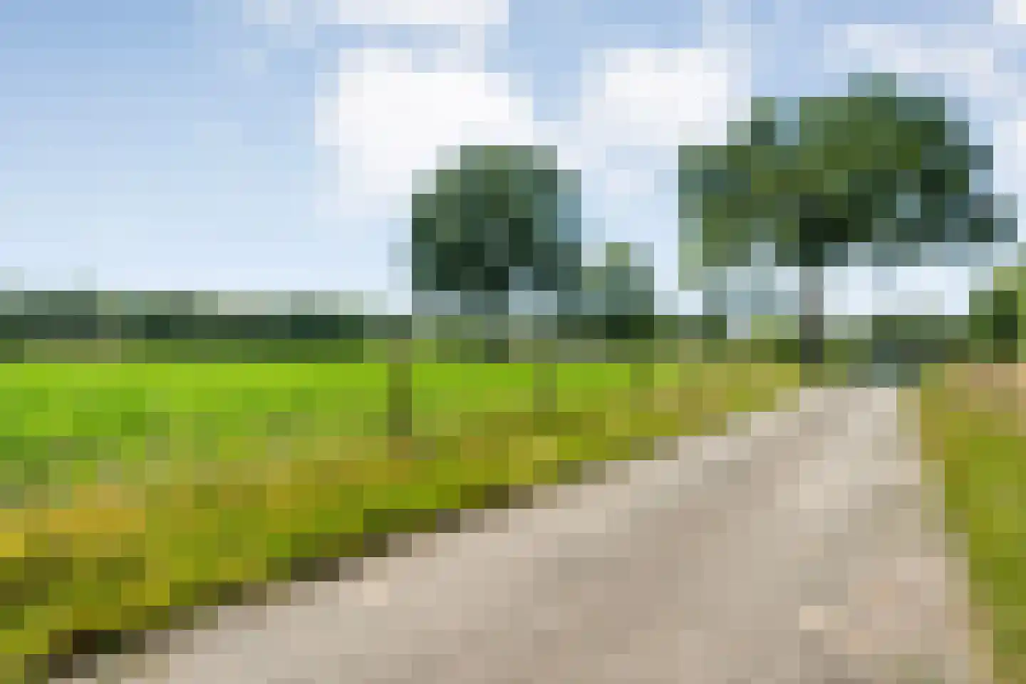 Stapelhaarspad 2 Wesepe thumbnail 71