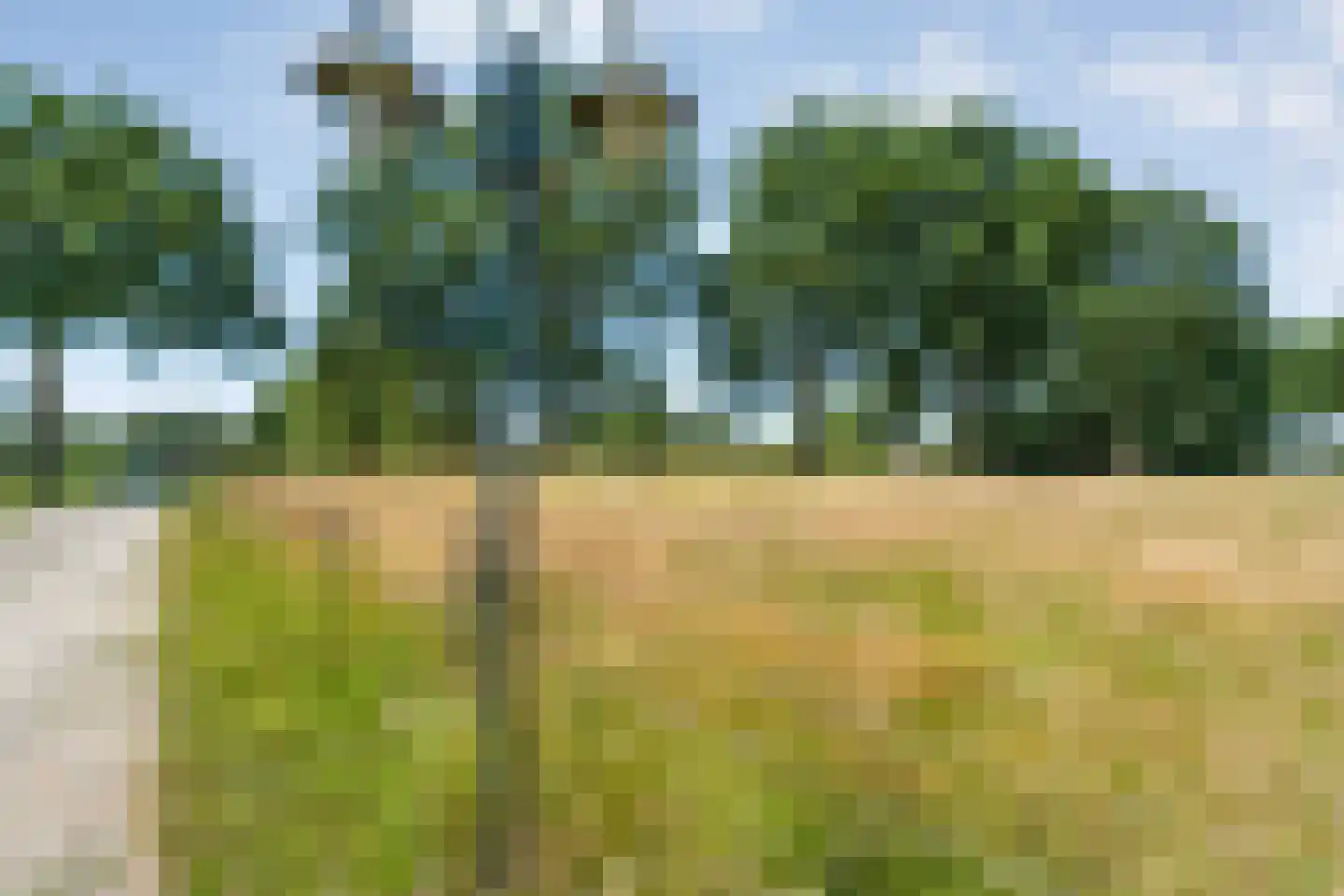 Stapelhaarspad 2 Wesepe thumbnail 72