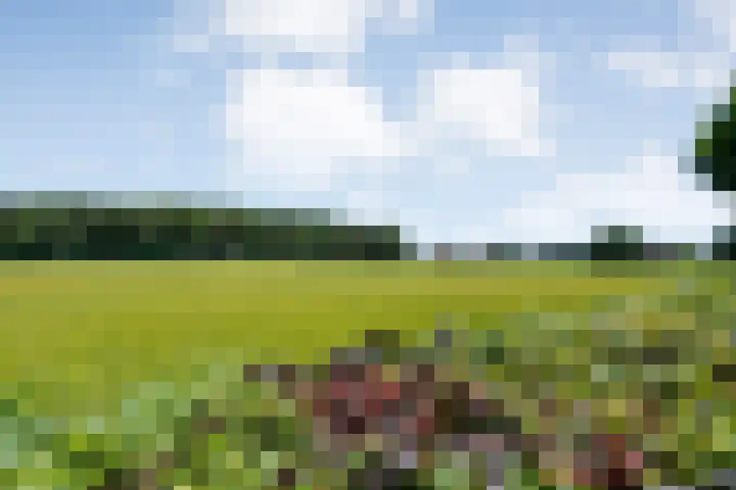 Stapelhaarspad 2 Wesepe thumbnail 73