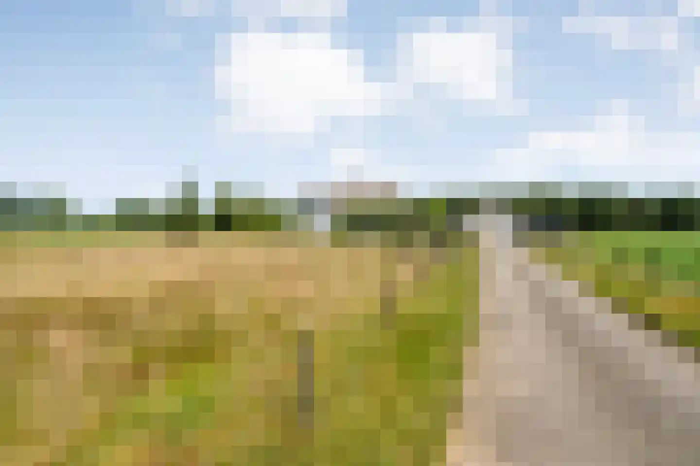 Stapelhaarspad 2 Wesepe thumbnail 9