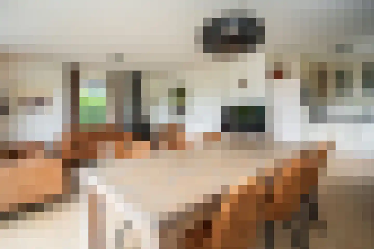 Stappeland 104 De Koog thumbnail 17