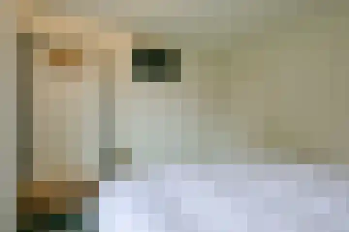 Stappeland 124 De Koog thumbnail 14