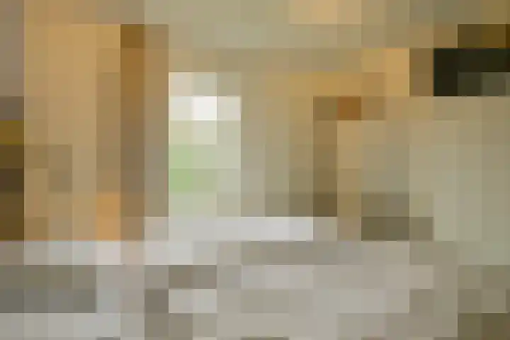 Stappeland 124 De Koog thumbnail 15