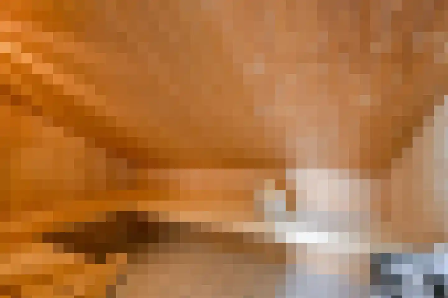 Stappeland 124 De Koog thumbnail 25