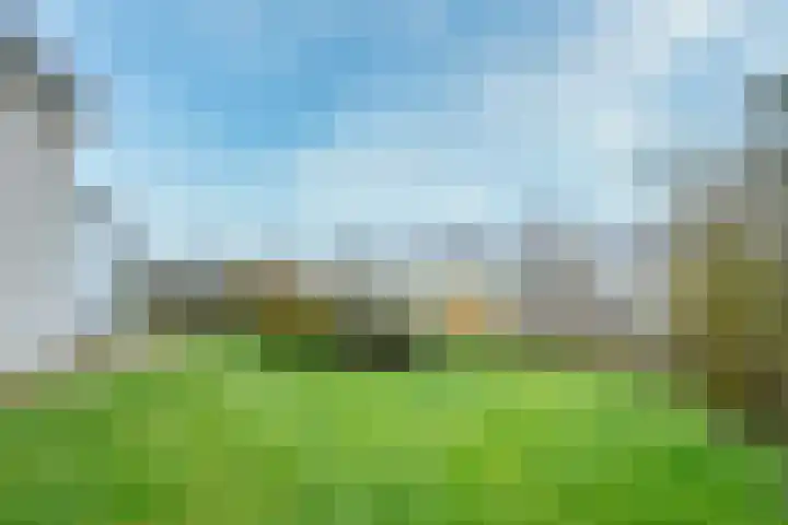 Stappeland 124 De Koog thumbnail 31