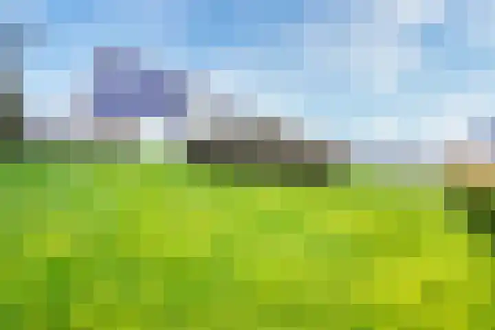 Stappeland 124 De Koog thumbnail 33