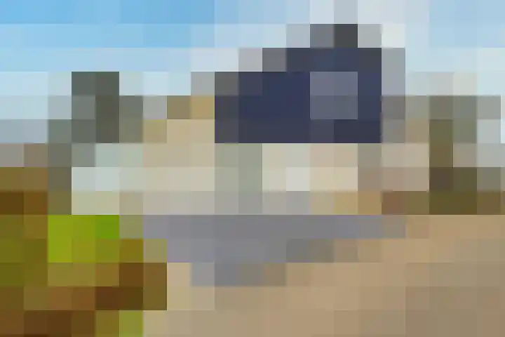 Stappeland 124 De Koog thumbnail 34