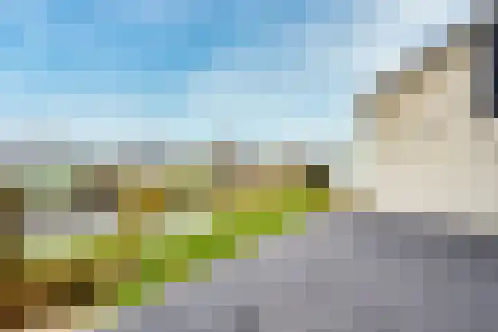 Stappeland 124 De Koog thumbnail 36