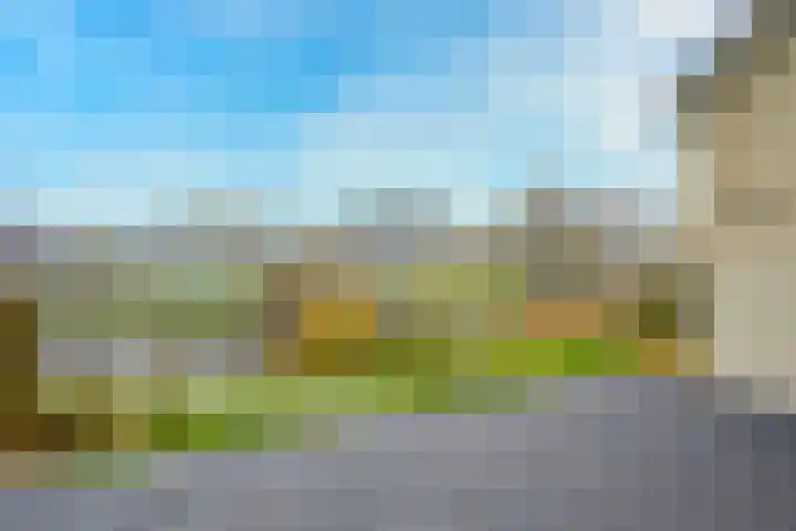 Stappeland 124 De Koog thumbnail 37