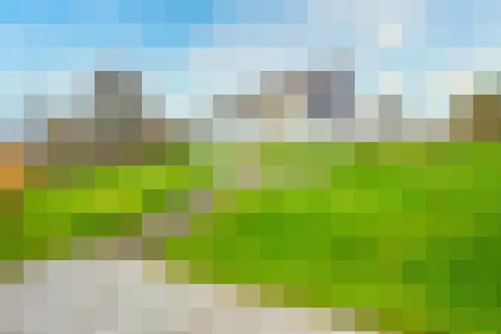 Stappeland 124 De Koog thumbnail 39