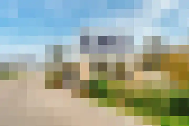 Stappeland 124 De Koog thumbnail 41