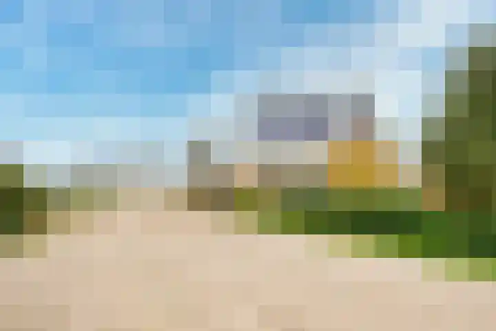 Stappeland 124 De Koog thumbnail 42